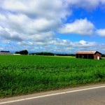 8d7770e42083cea96270f3c541b8d4ab_s