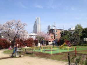 渋谷区でオススメ 河津桜の季節に行きたい 参宮橋公園 東京で家事代行 ベビーシッターのぽっかぽかブログ